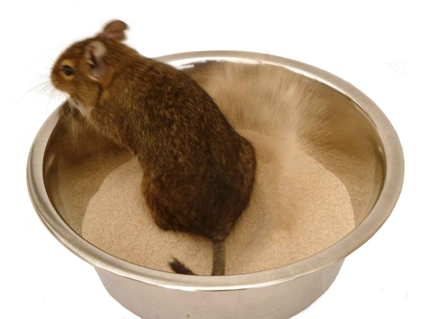 Small animal bathing sand dust cage habitat accessory toy gerbil hamster degu rodent chinchilla clean care