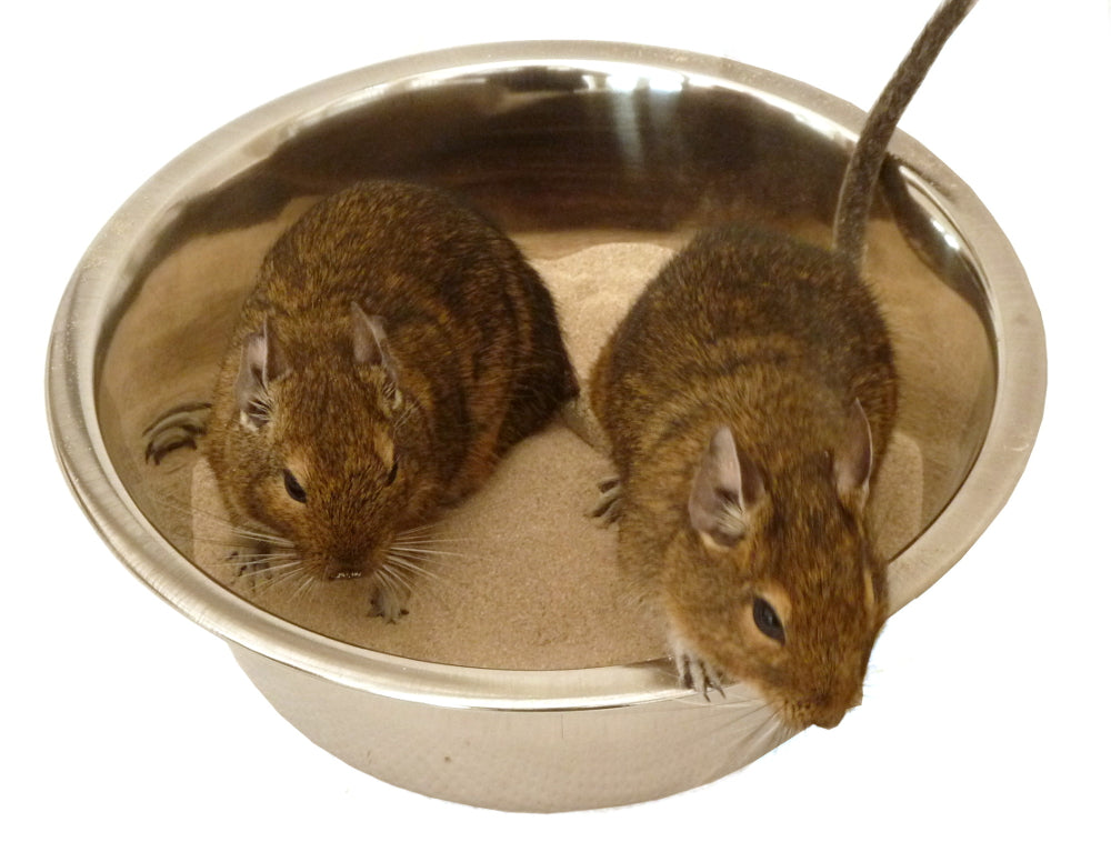 Small animal bathing sand dust cage habitat accessory toy gerbil hamster degu rodent chinchilla clean care