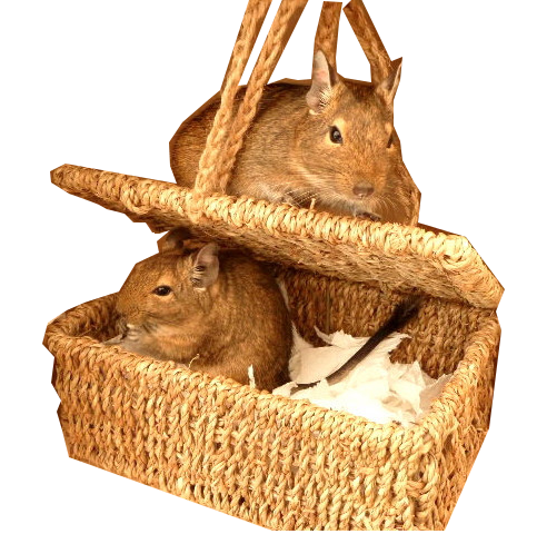 Small animal cosy bed bedding rat mouse mice gerbil hamster degu rodent chinchilla cage habitat