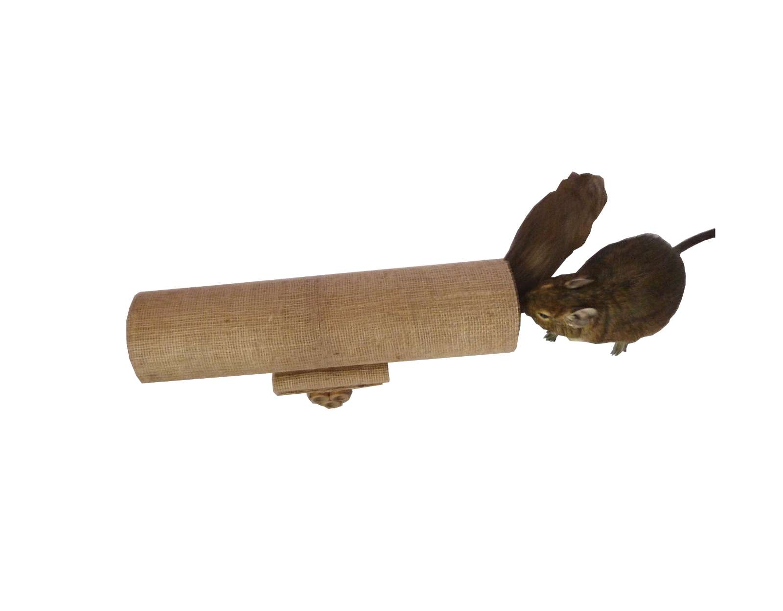 Small animal toy play tube chews rat mouse mice gerbil hamster degu rodent cage accessory habitat platform