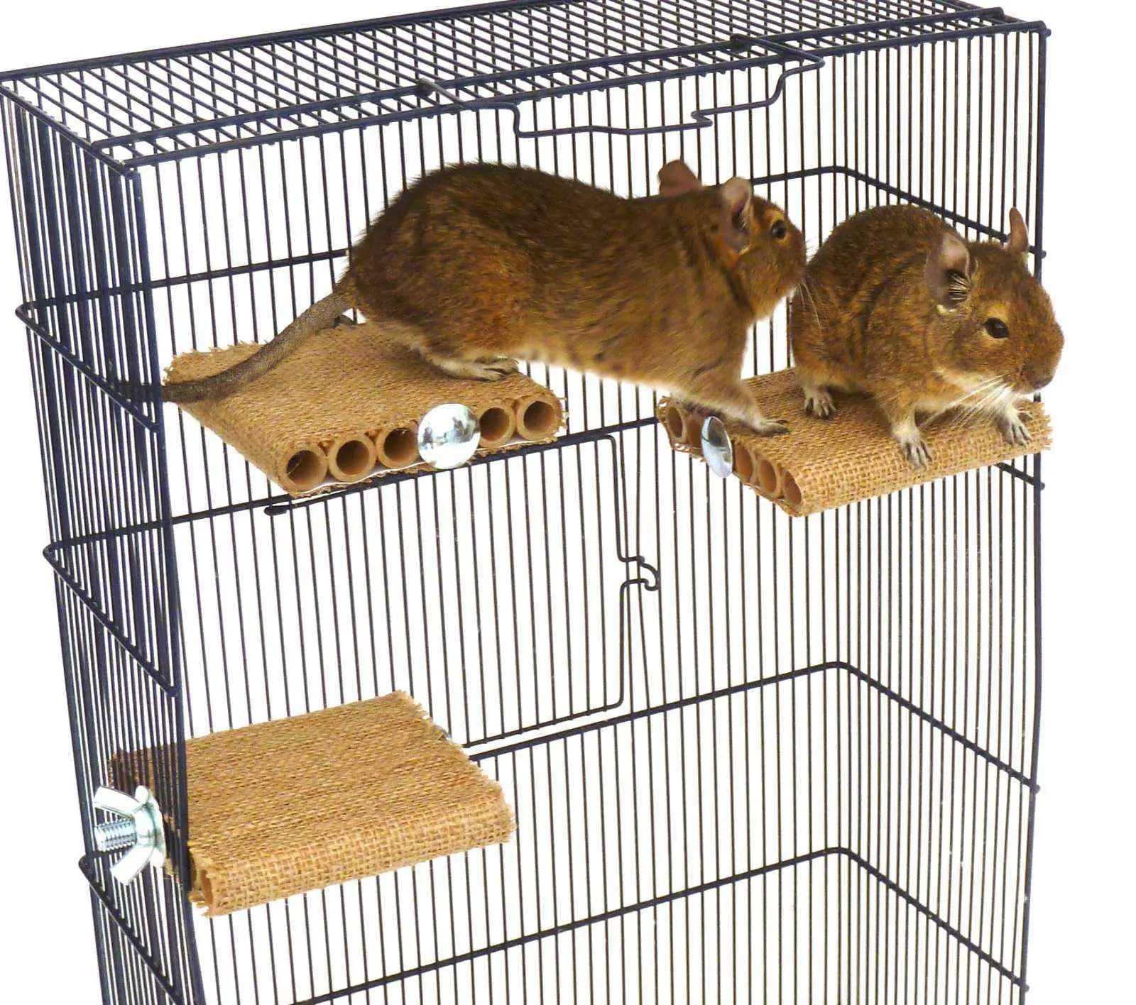 Shelf refill - Small pet Shelf (3 Pack) (No fixings with this product)