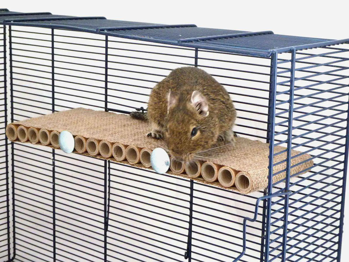 otaly Degu Long Platform Refill (1 Pack) (no fixings with this prooduct)