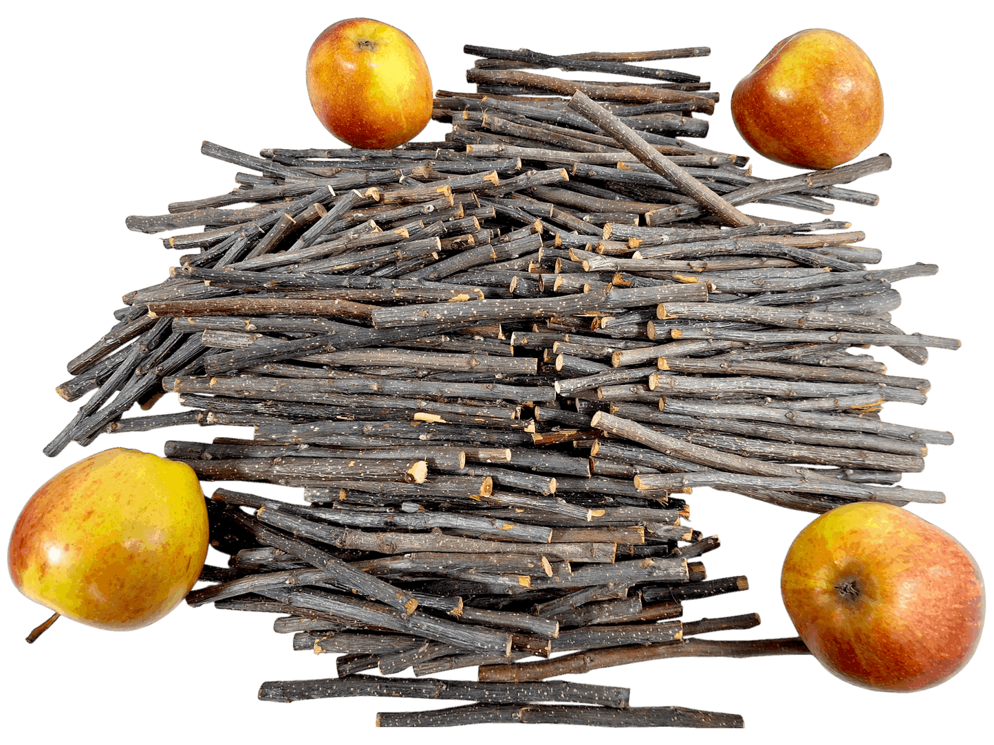 Small animal treats chews sticks forage hay rat mouse mice gerbil hamster degu rodent chinchilla rabbit tortoise