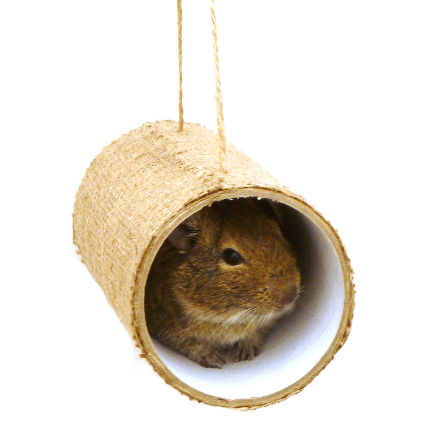 Small animal toy play tube chews rat mouse mice gerbil hamster degu rodent cage accessory habitat platform