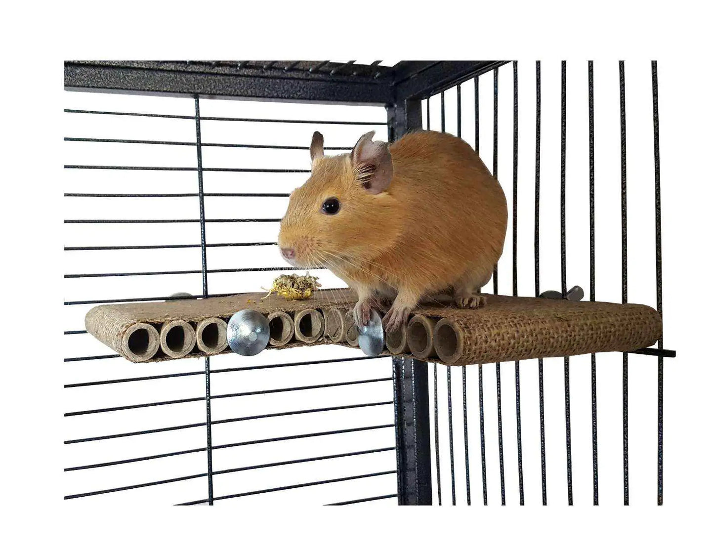 Totally Degu Corner Shelf Refill - One Pack (No fixings with this product)