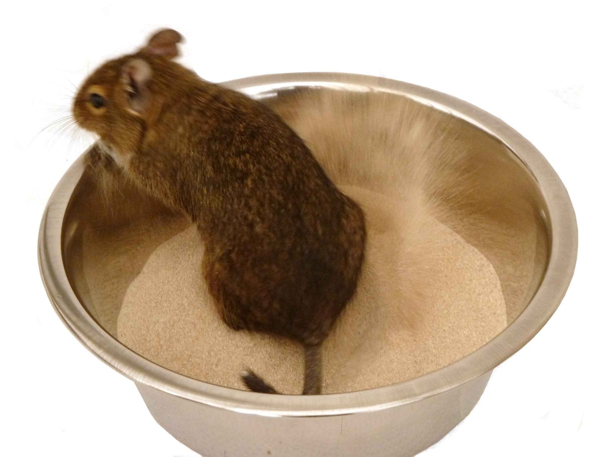 Small animal bathing sand dust cage habitat accessory toy gerbil hamster degu rodent chinchilla clean care