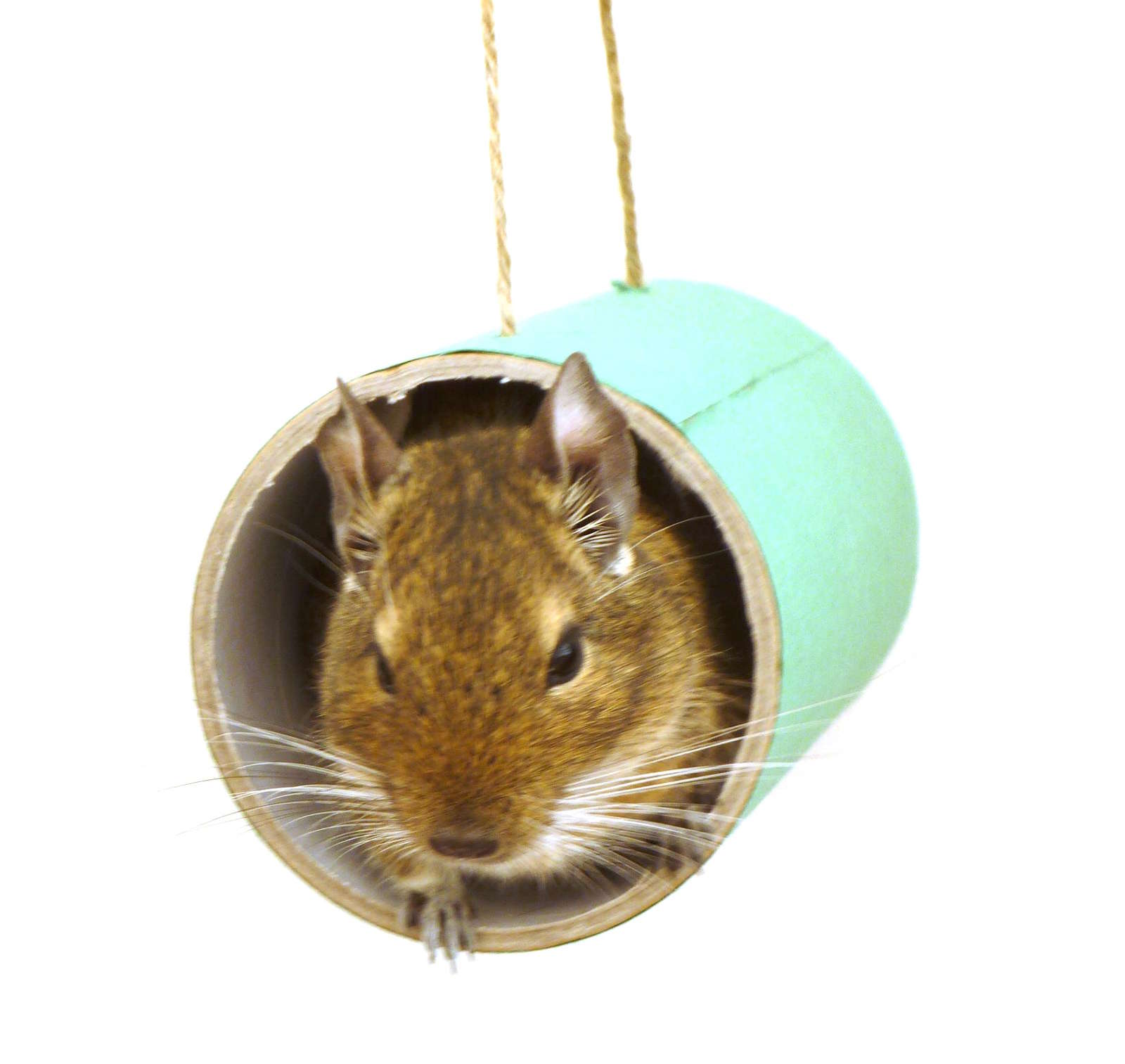 Small animal toy play tube chews rat mouse mice gerbil hamster degu rodent cage accessory habitat platform