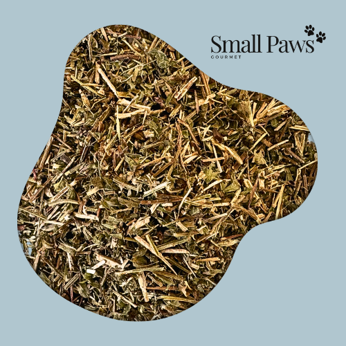 Lemon Balm