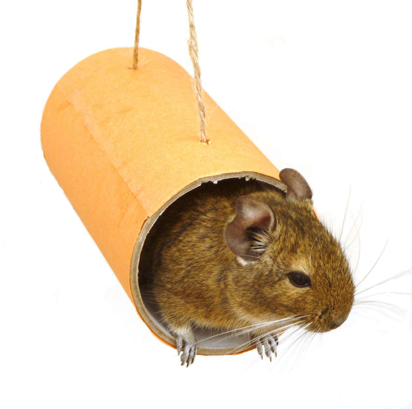 Small animal toy play tube chews rat mouse mice gerbil hamster degu rodent cage accessory habitat platform
