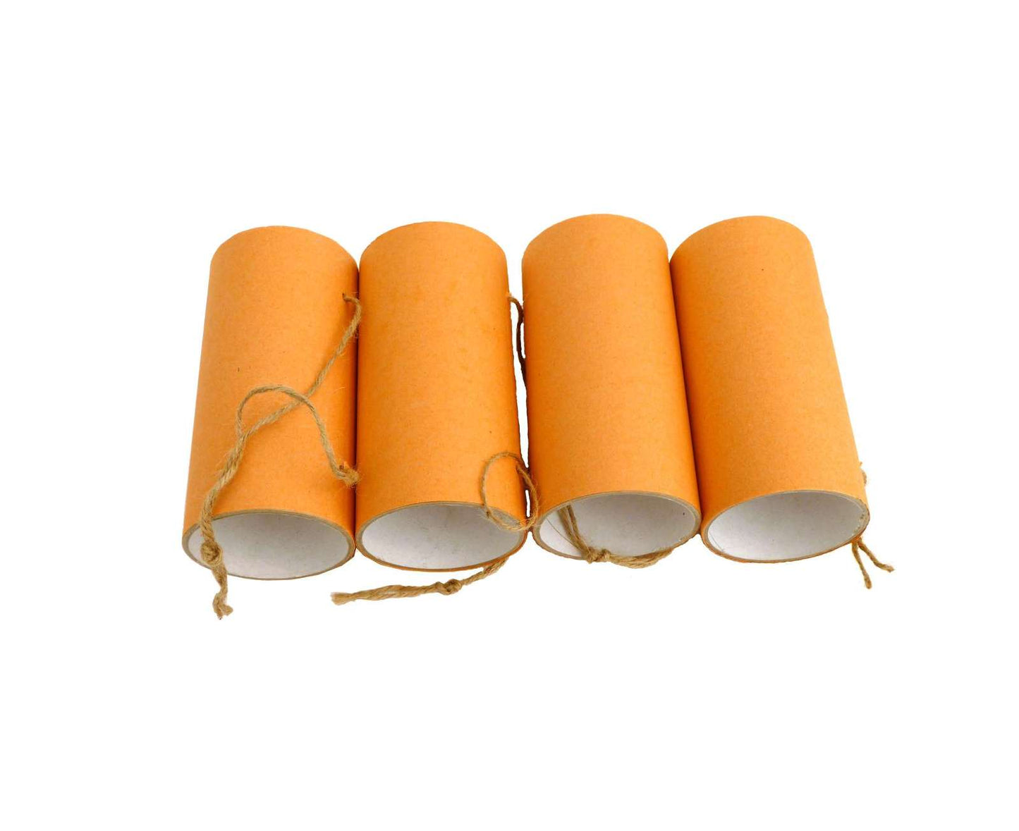 Small animal toy play tube chews rat mouse mice gerbil hamster degu rodent cage accessory habitat platform