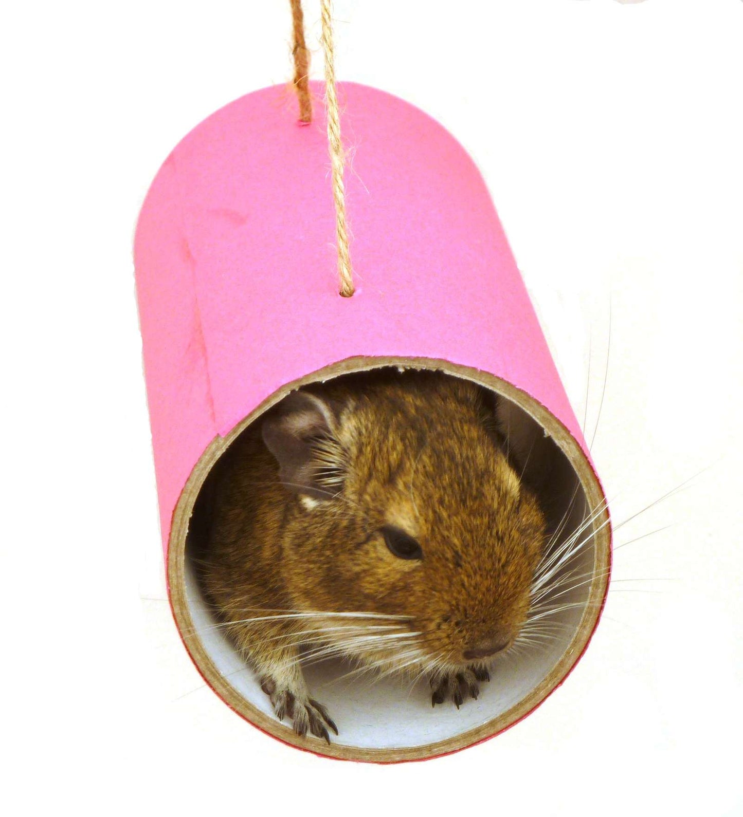 Small animal toy play tube chews rat mouse mice gerbil hamster degu rodent cage accessory habitat platform