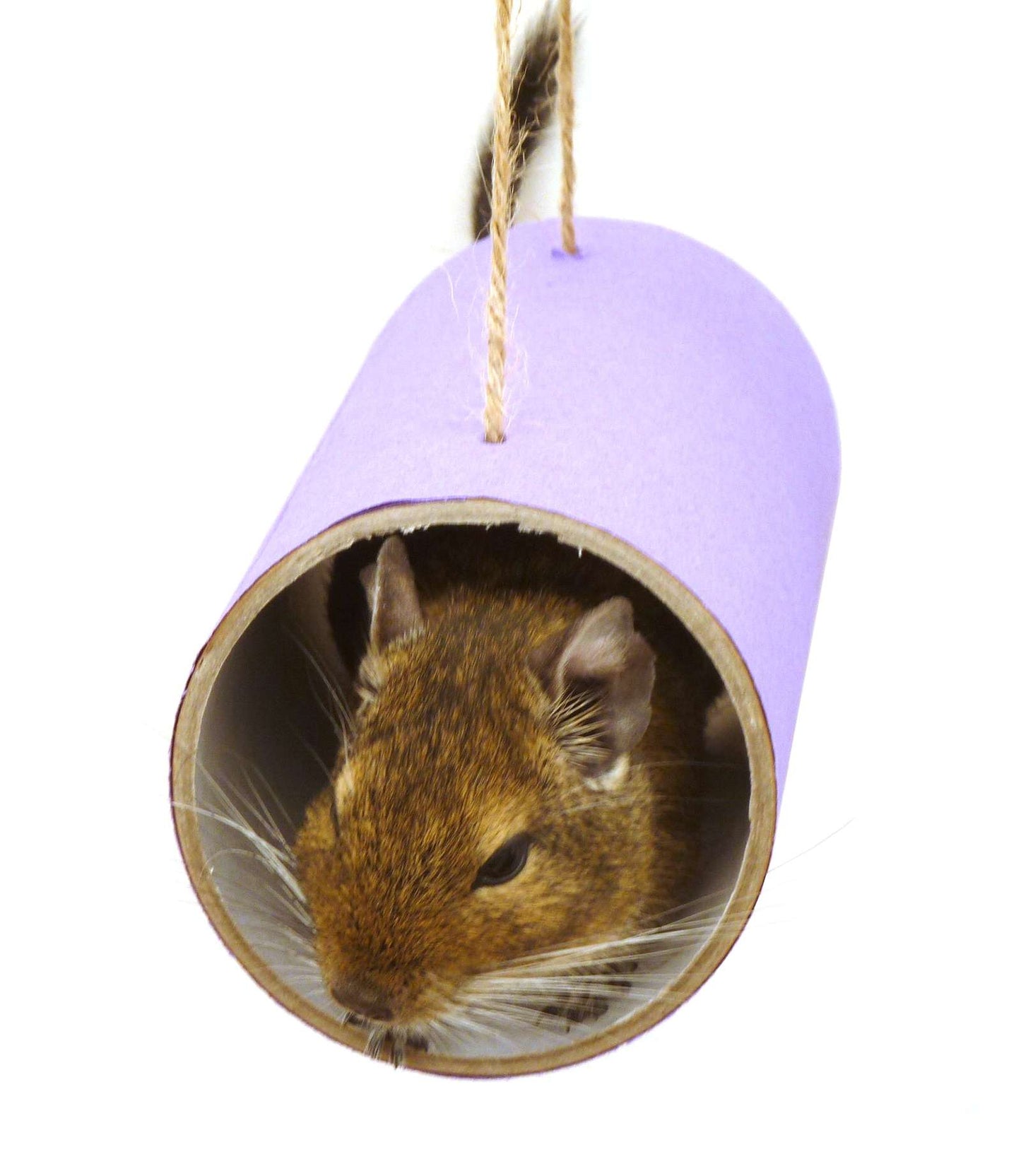 Small animal toy play tube chews rat mouse mice gerbil hamster degu rodent cage accessory habitat platform