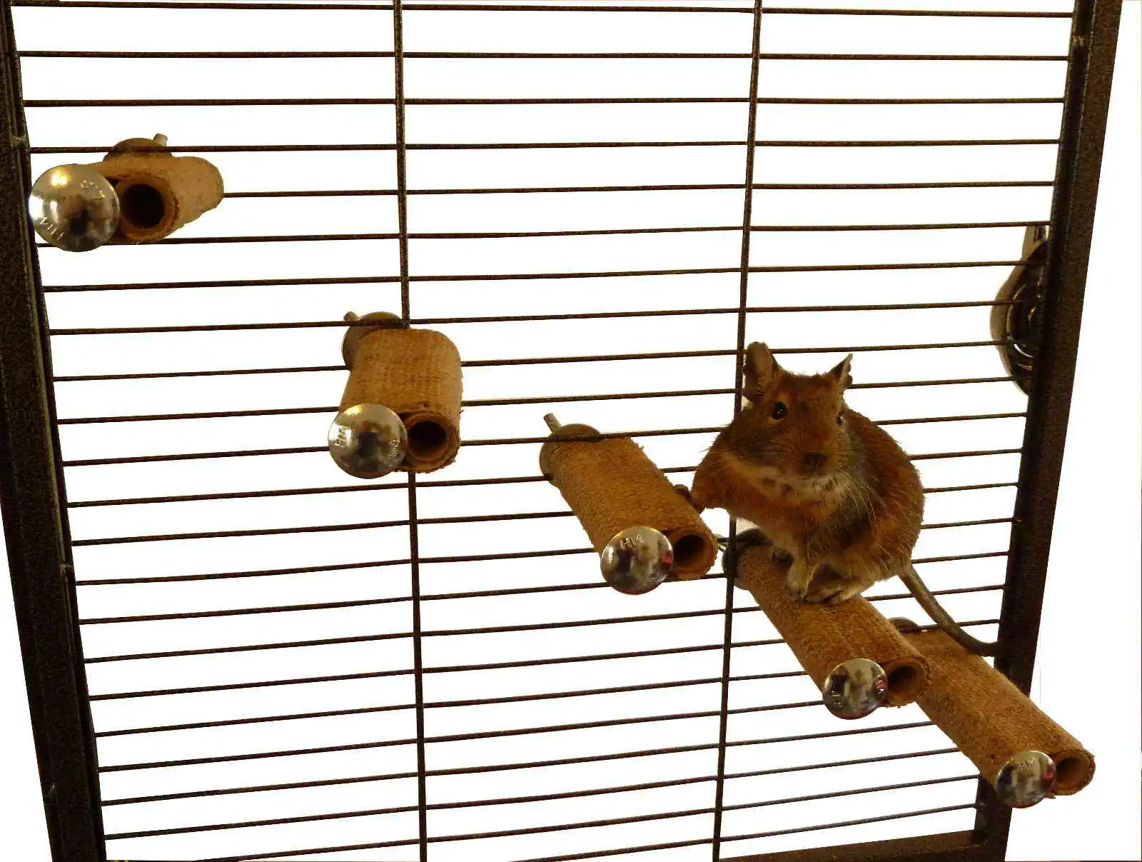 Degu step refill (no fixings with this product
