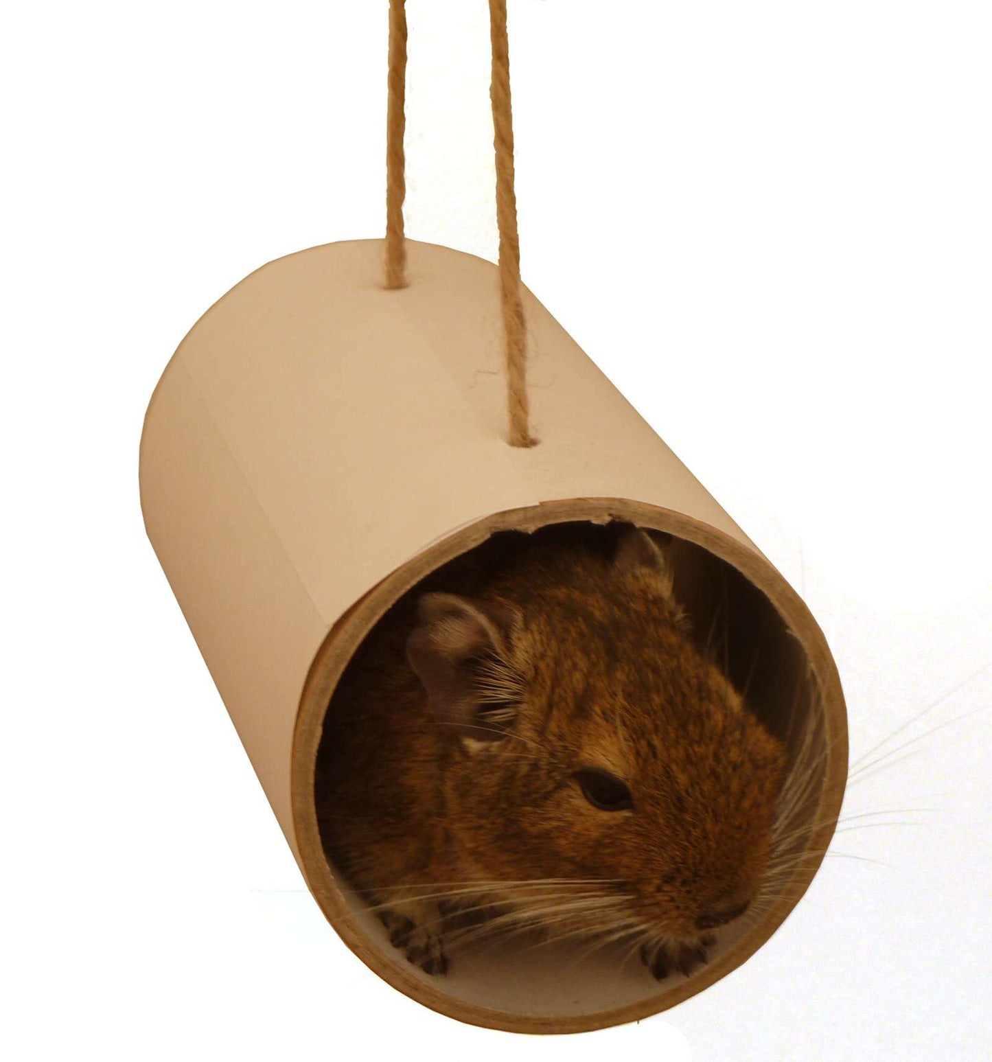 Small animal toy play tube chews rat mouse mice gerbil hamster degu rodent cage accessory habitat platform