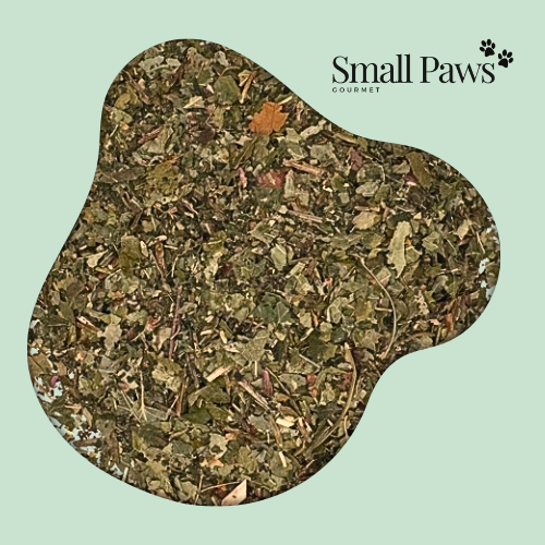 Leaf Salad Medley